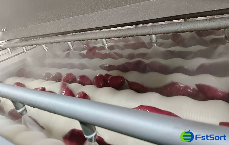 images/1686912273850sweet potato cleaning sorting machine.jpg